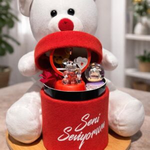 Seni Seviyorum Sürpriz Kutulu Peluş Ayıcık